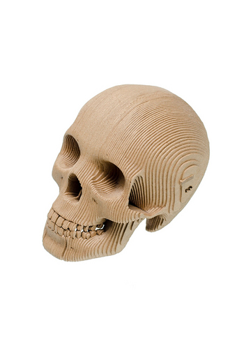 Micro Vince - small human skull - brown 
Karton 
Interieurdecoratie 