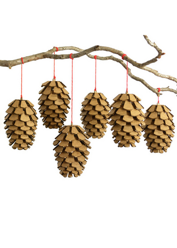 Pine Cone set 6 
Karton 
Interieurdecoratie 