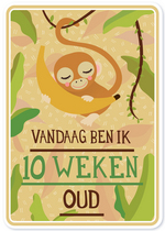 Milestone Baby Cards Nederlands 
Karton 
Kaartjes enzo 