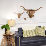 Tex Jr Longhorn brown medium 
Karton 
Interieurdecoratie 